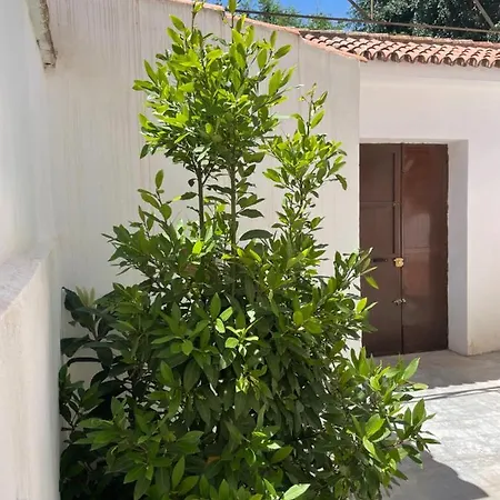 La Casita De San Nicolas